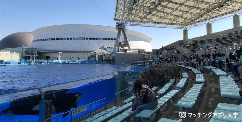 名古屋港水族館 スタジアム