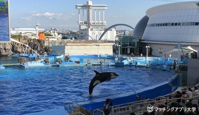 名古屋港水族館 シャチ