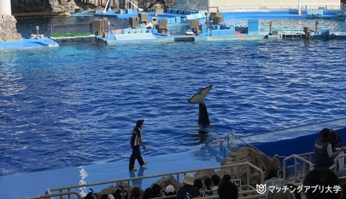 名古屋港水族館 シャチ