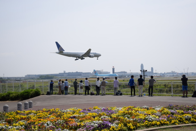 成田市さくらの山で見える飛行機