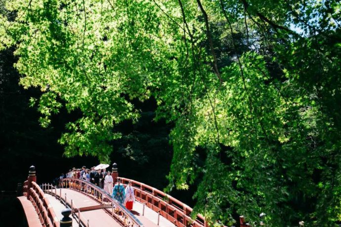 夏の新緑の中で行われる神橋幸せ渡り初め