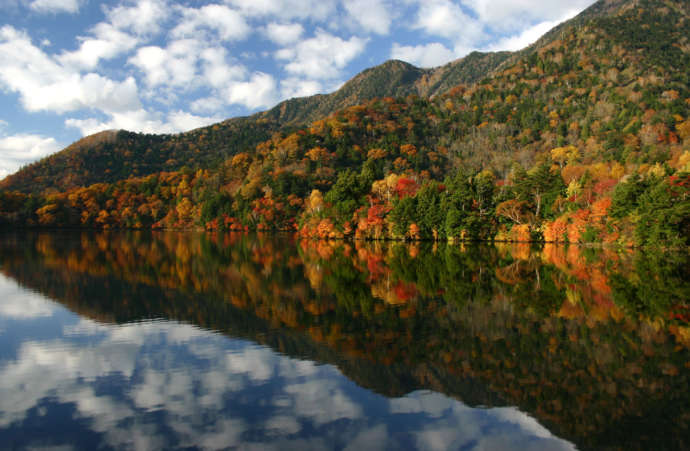 湯ノ湖の湖面に映る紅葉の様子