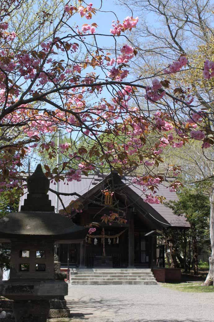 錦山天満宮について