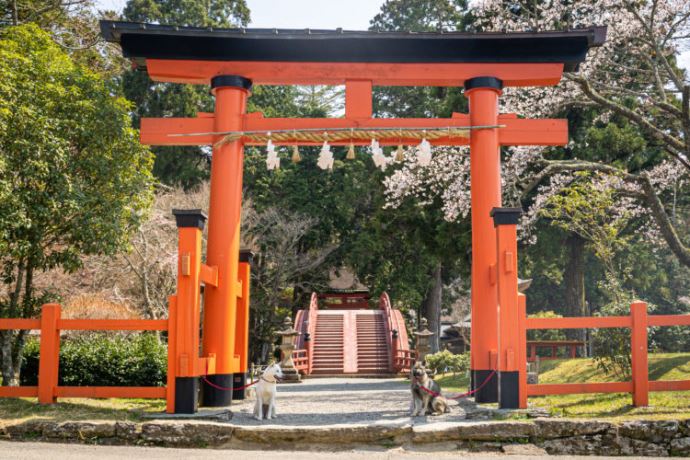 丹生都比売神社について