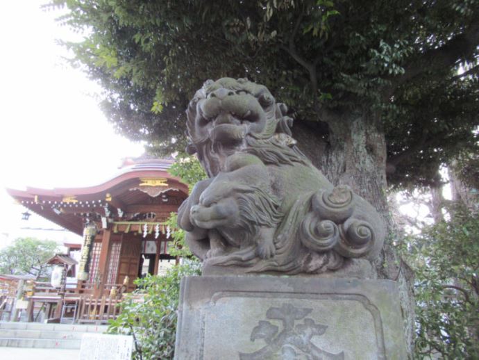 大鳥神社の歴史・見どころについて