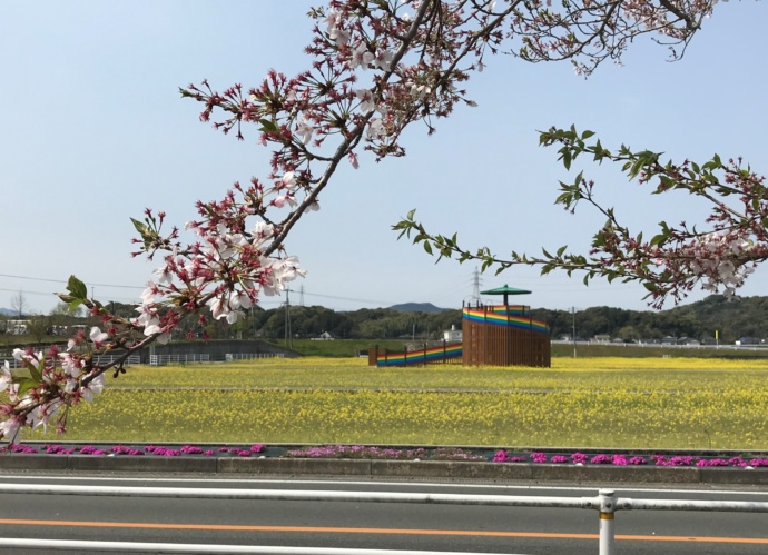 おおとう桜街道花公園の春の風景