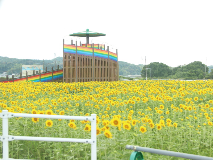 おおとう桜街道花公園の夏の風景