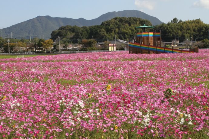 おおとう桜街道花公園の秋の風景