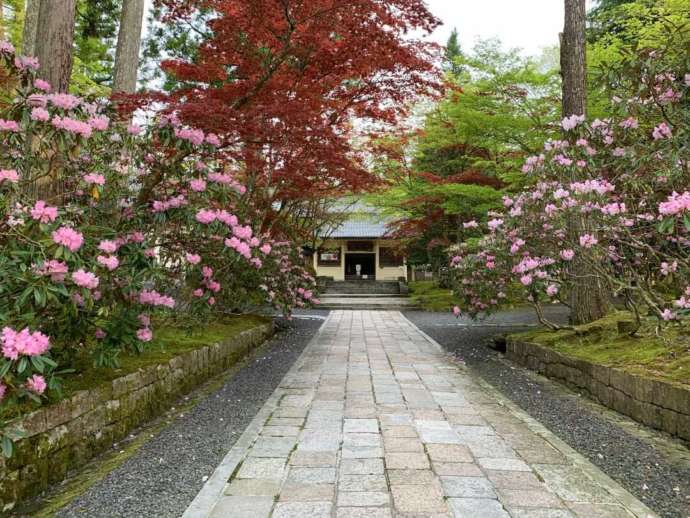 霊宝館正面（石楠花）