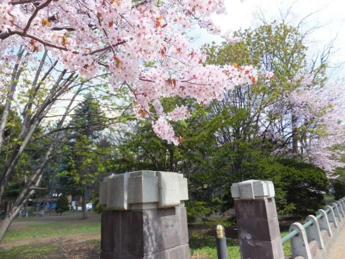 札幌市資料館の春の裏庭