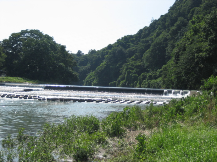 埼玉県坂戸市の高麗川の清流