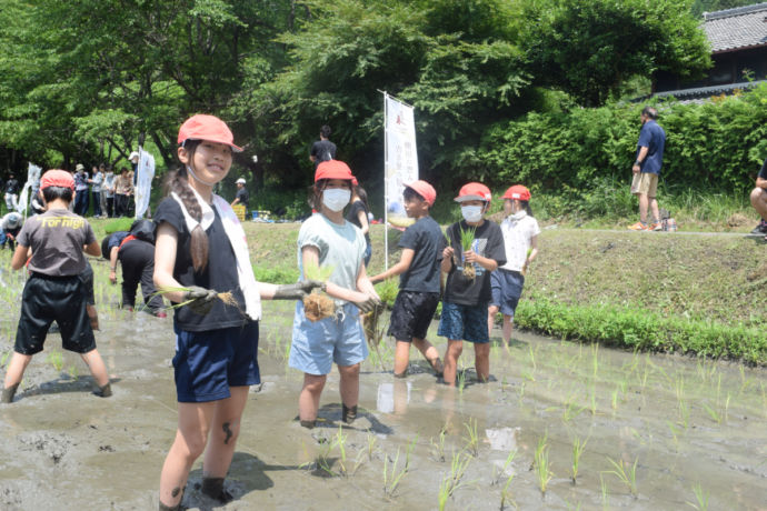 桜井市吉隠の田植えの様子