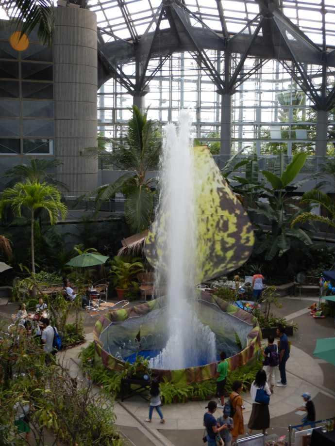 咲くやこの花館の噴水