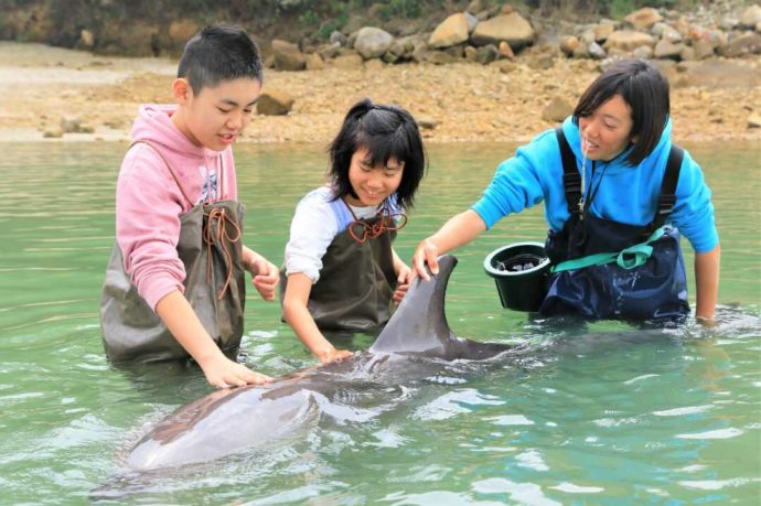 熊本県上天草市にあるわくわく海中水族館シードーナツでイルカとふれあう子供たち