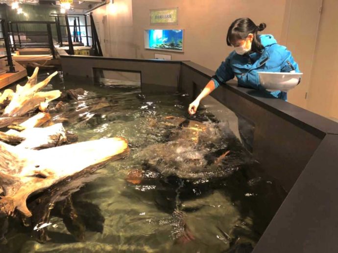 熊本県上天草市にあるわくわく海中水族館シードーナツの清水さん