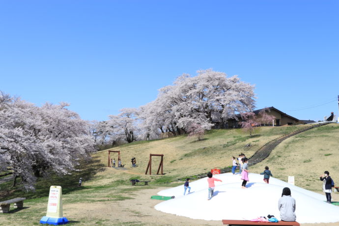 柴田町「太陽の村」のふわふわドーム