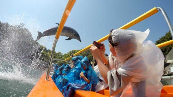 下田海中水族館のイルカショーの特等席でシャッターを切る女性