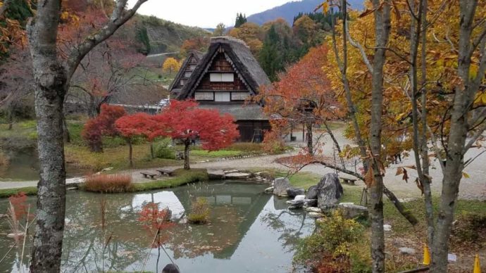 秋の野外博物館合掌造り民家園の様子