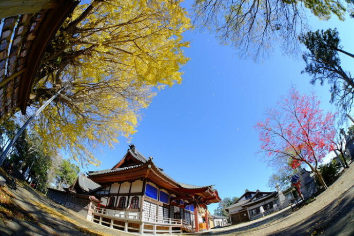 白子神社の外観