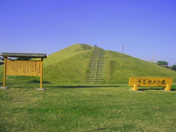 自然公園内のウミガメの丘