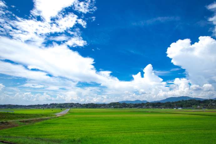 勝央町の田園風景