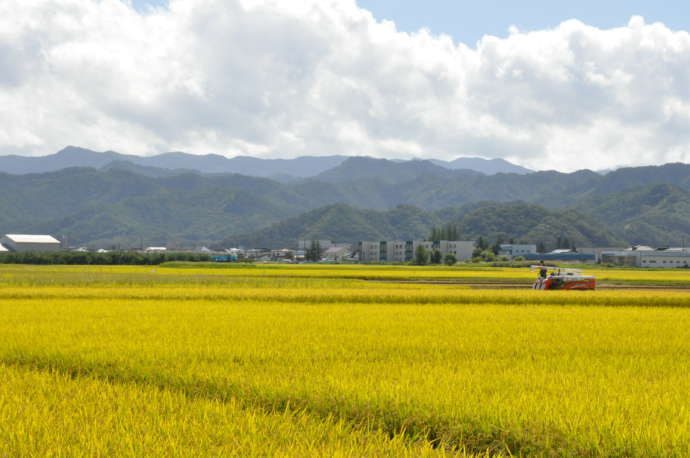 高畠町の田園風景