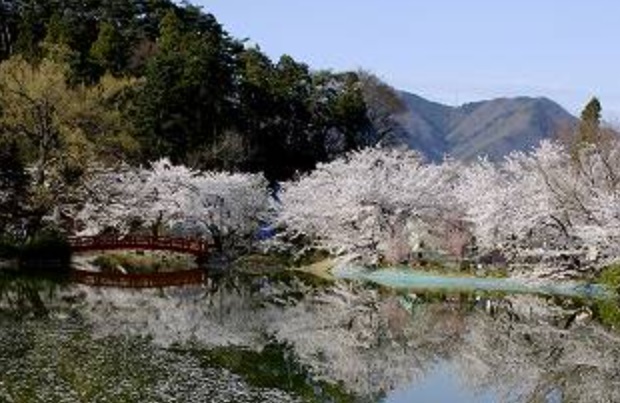 長野県須坂市にある豪商の館　田中本家博物館周辺にある臥竜公園