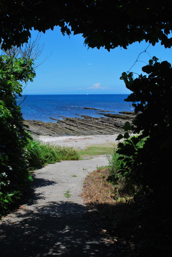 夏の沖ノ島の様子