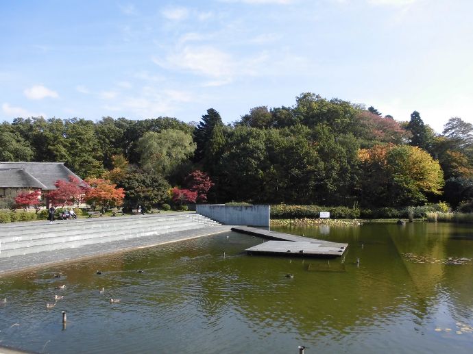 東北歴史博物館にある池の周辺