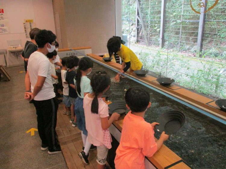 山梨県南巨摩郡にある甲斐黄金村・湯之奥金山博物館の砂金採り体験室利用者