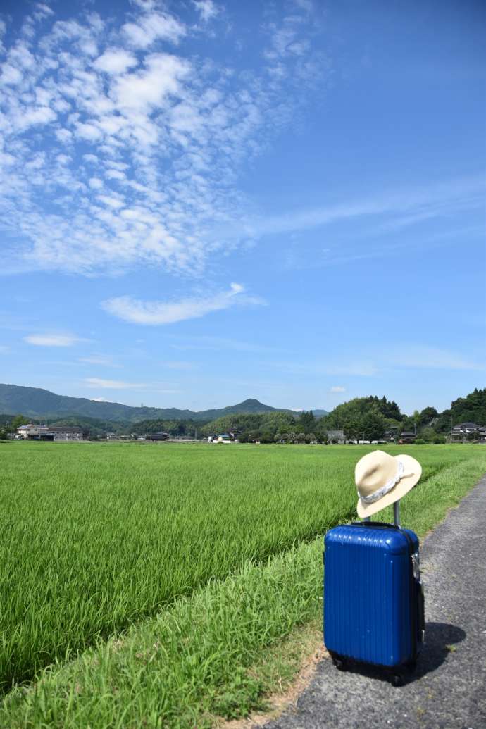 田布施町の田んぼの畦道に移住者のトランクがある写真