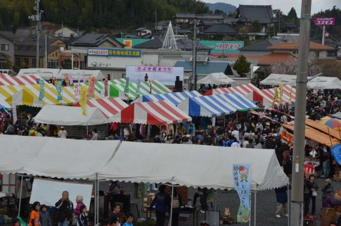 田布施町で開催される桜まつり