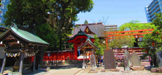 宮城県仙台市で神前結婚式ができる榴岡天満宮の境内