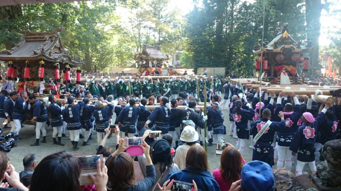 勇壮な「うたの秋祭り～神輿渡御祭～」の一幕