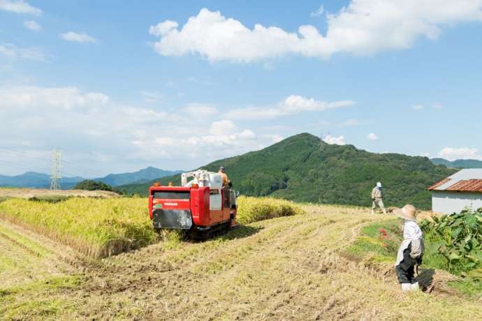 嬉野市の里山風景