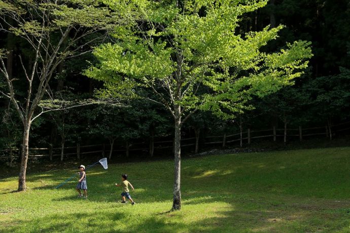 深山山麓少年の森