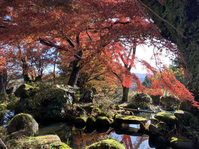 富山市の八尾エリアにある城ヶ山公園の紅葉