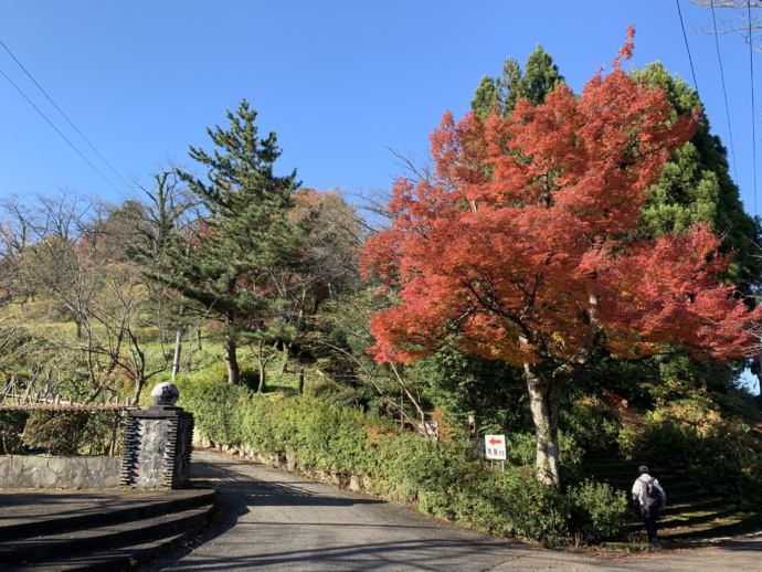 富山市八尾エリアにある城ヶ山公園へ続く道