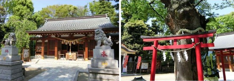  新田神社